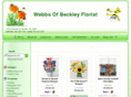 webbsofbeckley.com