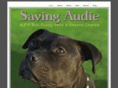 savingaudie.com