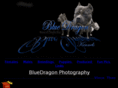 bluedragonkennels.com