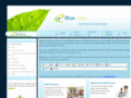 bluelinc.net