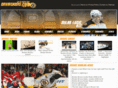 bruinshome.com