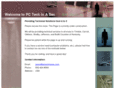 pctechinasec.com