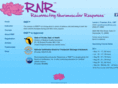 rnrmassagetherapy.com
