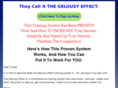thegelousyeffect.com