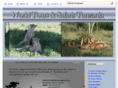 world-tours-safaris.com