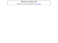 bruingroup.net