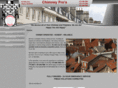 chimneypros.net