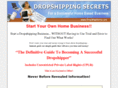 dropshipniche.com