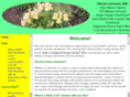 healingpalmsandpaws.com