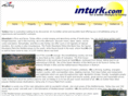 inturk.com