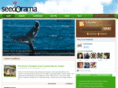 seedorama.com