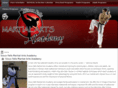 siouxfallskarate.com