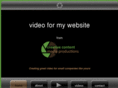 videoformywebsite.com