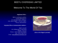 beeyuoverseas.com