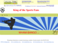 kingofsportsfans.com