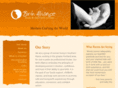 birthalliancedoula.com