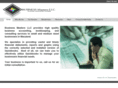 bizmastersllc.com