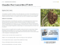 chandler-pest-control.com