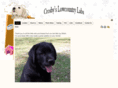 crosbyslowcountrylabs.com