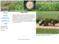 happycowfarms.com