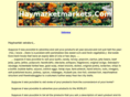 haymarketmarkets.com