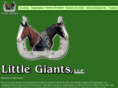 littlegiantsllc.com