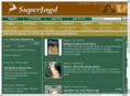 redtensteiner.com