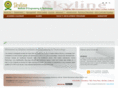 skylineinstitute.com