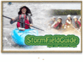 storm-fg.mobi