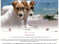 jackrussellterier.com