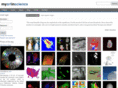 myartinscience.com