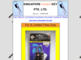 singaporeinstantkey.com