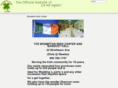 bramptonirishcenter.com