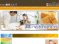 elbachoice.com