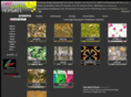 free-seamless-textures.com