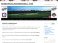 newburgh-baseball.com