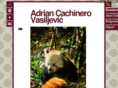 adricv.com