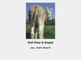 dullslowandstupid.com