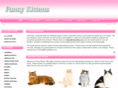 fancykittens.com