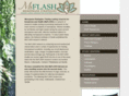 msflash.org