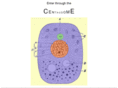 centrosome.net