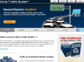 nichetrafficsystem.com