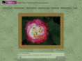 ameroses.com