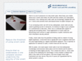 bragstad.com