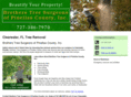 clearwatertreeremoval.com