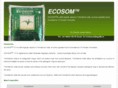 ecosom.com