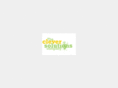 thecleversolutionscompany.com