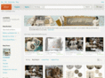 clutterbugstudio.com