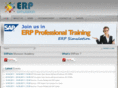 erpsimulation.com