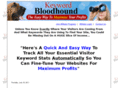 keywordbloodhound.com